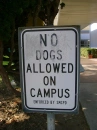 no dogs