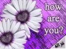 how are you?