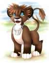 sora cub