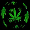 weed