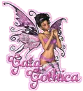 gata gothica/gothic cat