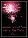 Sometimes you dont what you have until its gone