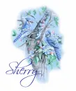Sherry