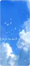 fly in the sky