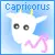 zodiac signs