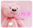 pink teddy