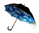 umbrella