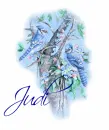 judi