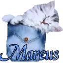 Name