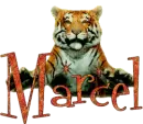 Name