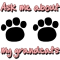grandcats