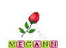 Megann