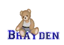 Bear-brayden