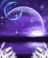purple night