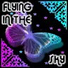 flying in the sky