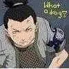 shika