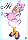 daisy