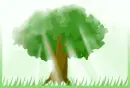 love tree