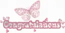 Congratulations Butterfly