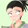 shika 