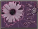flower to you with my respect