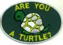 r u a turtle