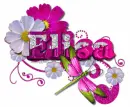 Elisa