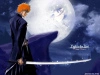 (bleach)