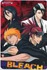 bleach