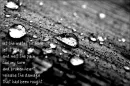 water on wood