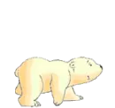 polar