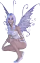fairy
