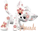 kitty