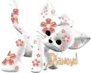 kitty
