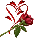 rose with heart