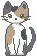 kitty