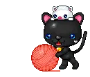 funny cats