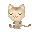 bubble kitty