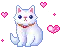 sweet kitty