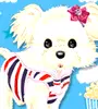 kawaii