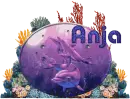 Name
