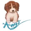 Name