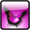 colorful butterfly