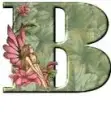 Cap B