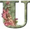 Cap U