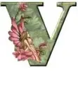 Cap V