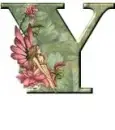 Cap Y