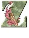 Cap Z