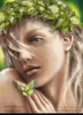 Stormi's Faerie