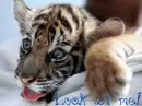 Look at me!
